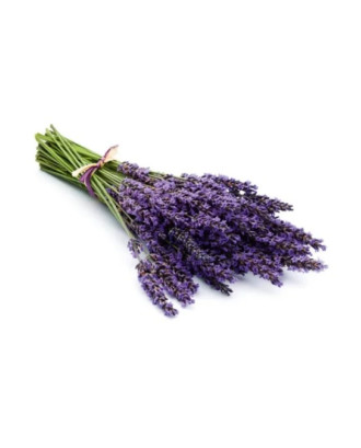 Parfum Sauna - Harvia, Lavande, 1 l AROMES DE SAUNA ET SOINS DU CORPS