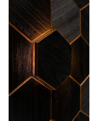Élément décoratif Hexa Black Thermo, Abachi, LED ECLAIRAGE SAUNA ET HAMMAM Élément décoratif Hexa Black Thermo, Abachi, LED ECLAIRAGE SAUNA ET HAMMAM