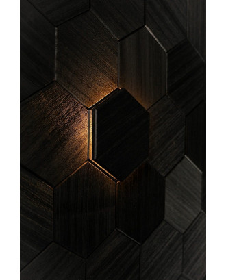 Élément décoratif Hexa Noir, Abachi, LED ECLAIRAGE SAUNA ET HAMMAM Élément décoratif Hexa Noir, Abachi, LED ECLAIRAGE SAUNA ET HAMMAM